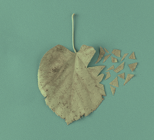 memory-loss